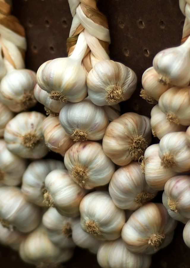 In summer, the local garlic harvest begins in Saugerties.