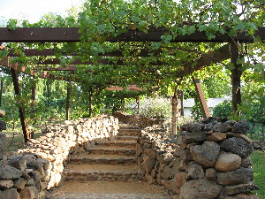 A path lined with low, stone walls and a vine-laden trellis providing the shade.