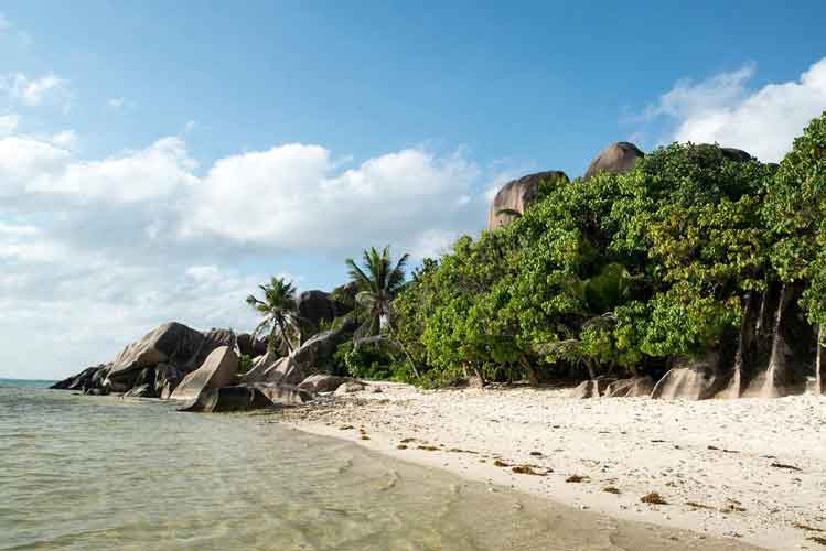 Granite boulders behind the lagoon at Anse Source d'Argent, the most famous beach on La Digue. Image by Oliver Berry / Lonely Planet.