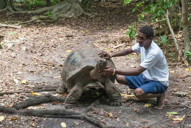 Nature guide Ryan Morel with one of the resident giant tortoises of Cousin Island, a protected nature reserve. Image by Oliver Berry / Lonely Planet.