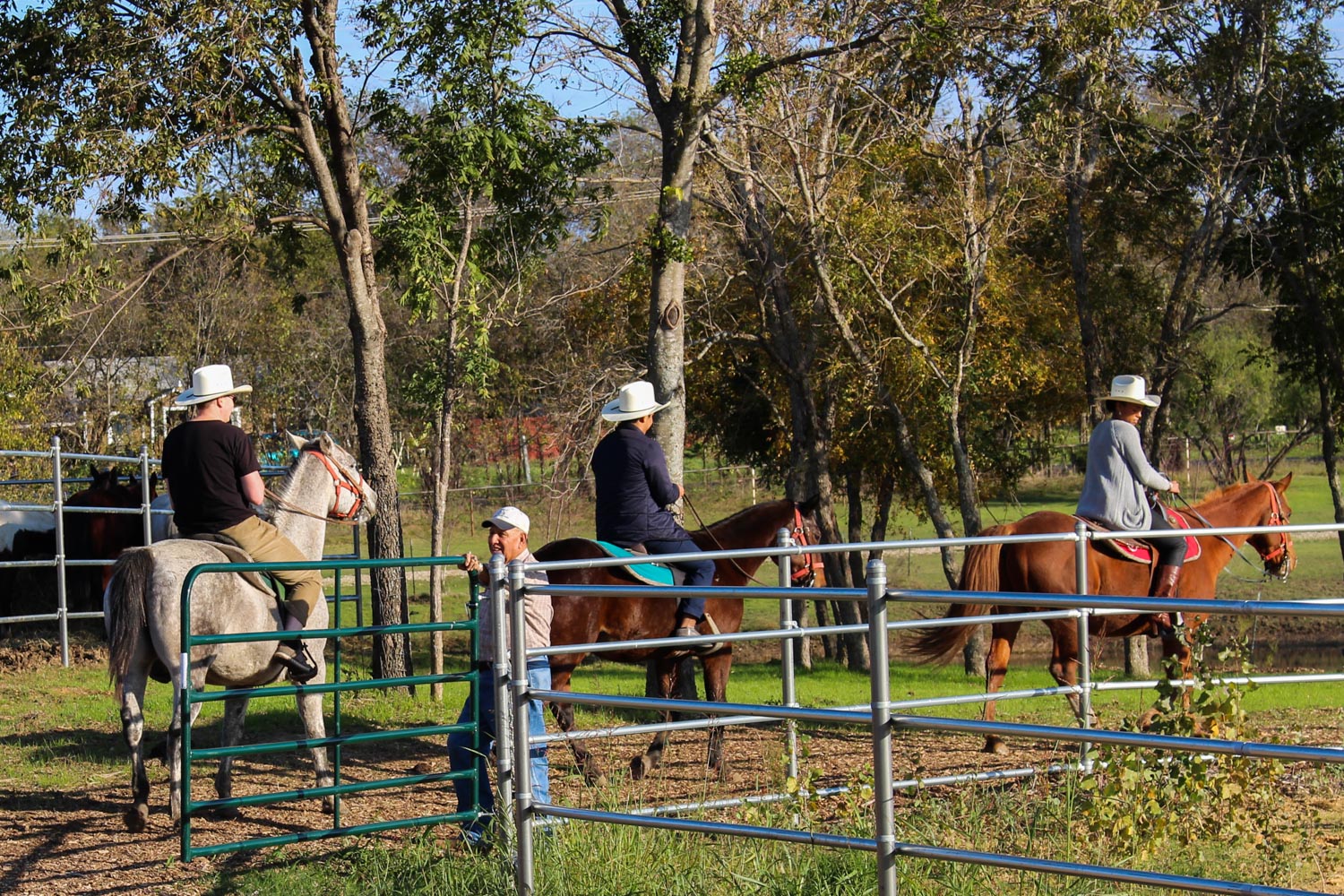 An afternoon trail ride at Texas Horse Park © Shanna Jones / Lonely Planet
