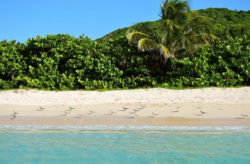 Culebra - Puerto Rico's Beach Paradise