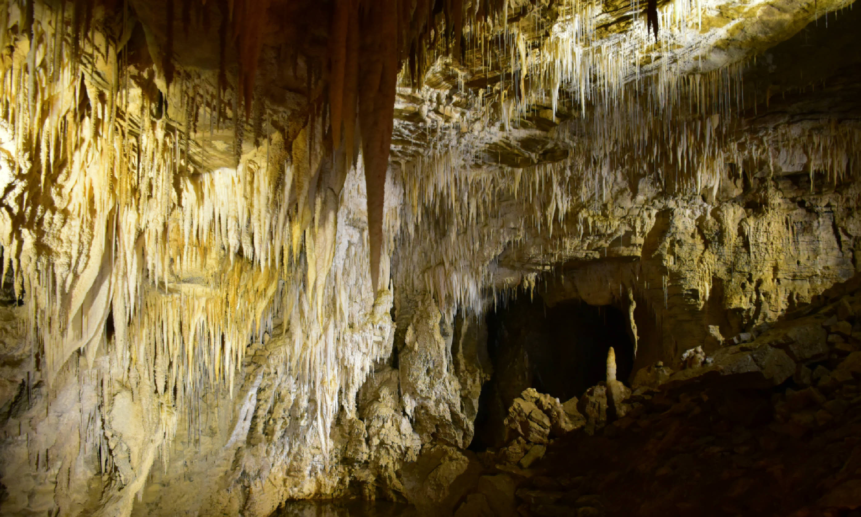 Waitomo caves (Shutterstock)