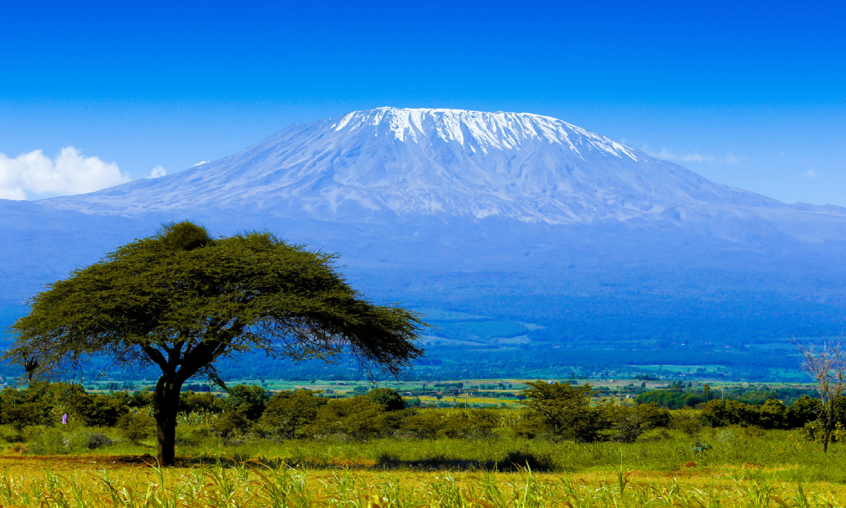 Kilimanjaro (Shutterstock)