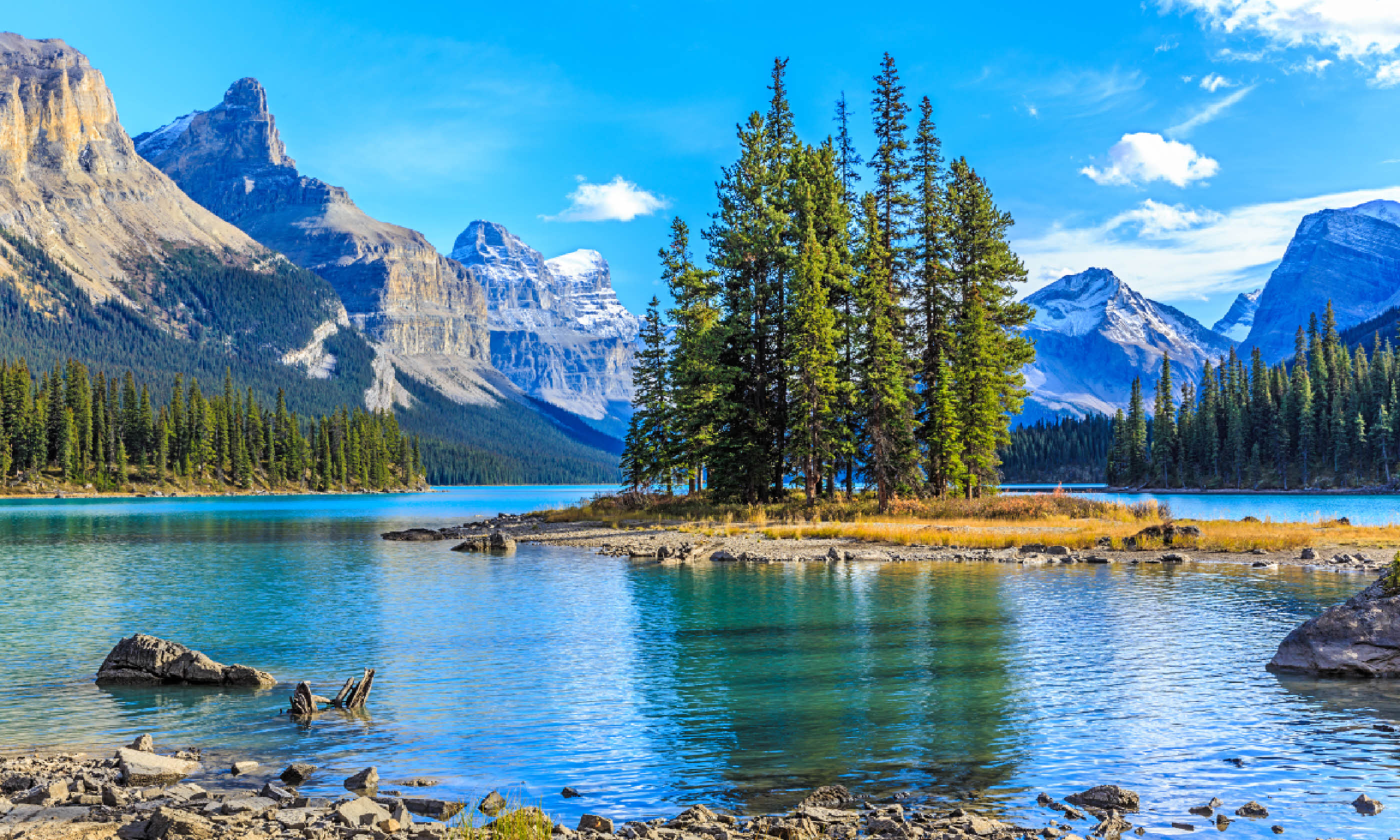Jasper National Park, Alberta (Shutterstock)