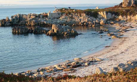 Seal cove in Monterey (Jill Clardy)