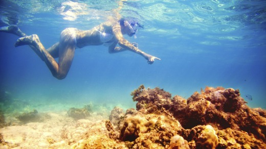 Something to do between meals: Snorkelling in Mauritius.