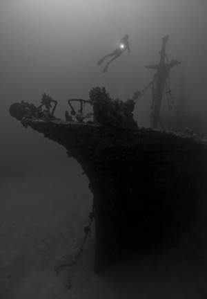 A diver checks out one of many shipwrecks around the Solomons.