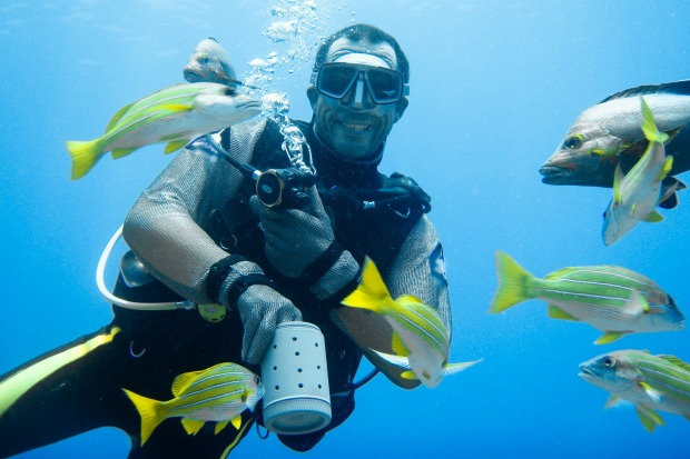 Frolicking with stingrays and harmless black-tipped reef sharks is all in a day's play in many of the islands. Boat ...