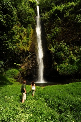 A waterfall in Tahiti.