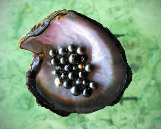 Black pearls at Tuamotu, Manihi Island.