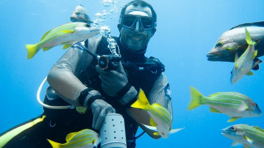 A dive instructor feeds fish.
