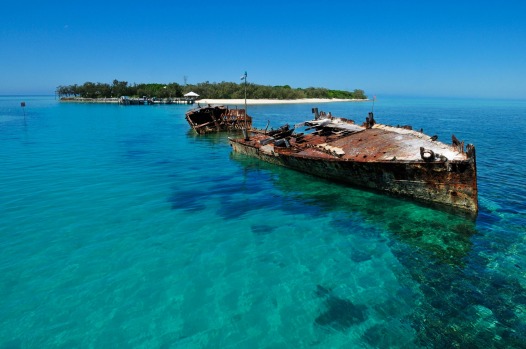 The shipwreck in front of Heron Island.