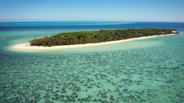 Heron Island: A laidback escape for nature lovers.