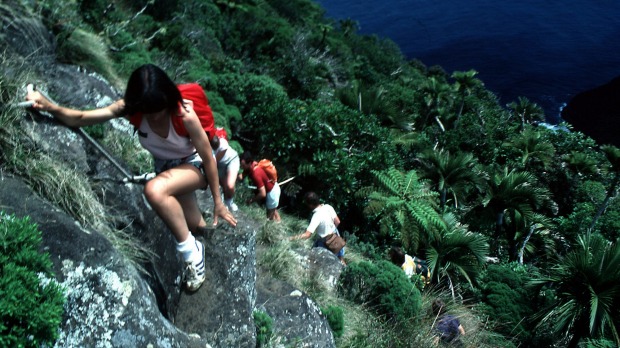Steep descent: Climbing Mount Gower on Lord Howe Island.