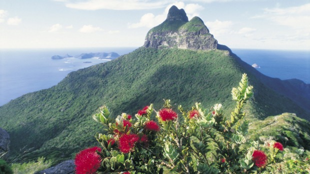 High vantage point: Mount Gower on Lord Howe Island.