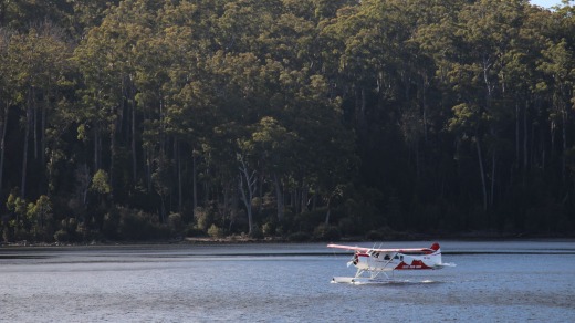 A seaplane landing at Lake St Clair.