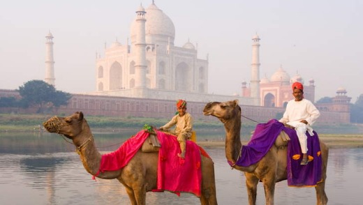 Riding camels in the Yamuna River in front of the Taj Mahal.