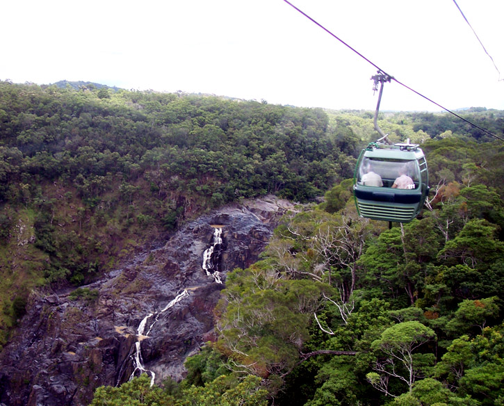 The Kuranda skyrail travels above the rainforest canopy.