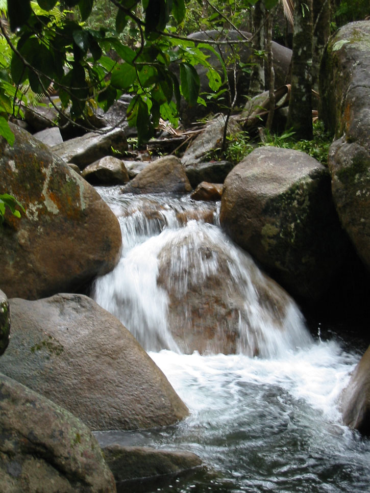 A rocky stream in Finch Hatton Gorge, Australia.