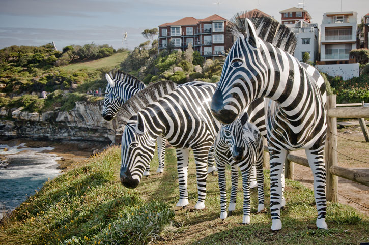 Zebra sculptures look out over the ocean in Sydney, Australia.