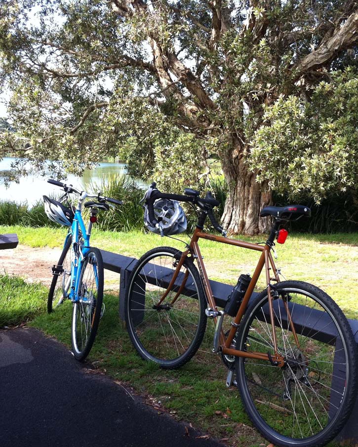 A pair of bicycles resting against a barrier in Sydney's Centennial Park.