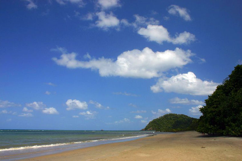 A flat sand beach along Cape Tribulation in Australia.