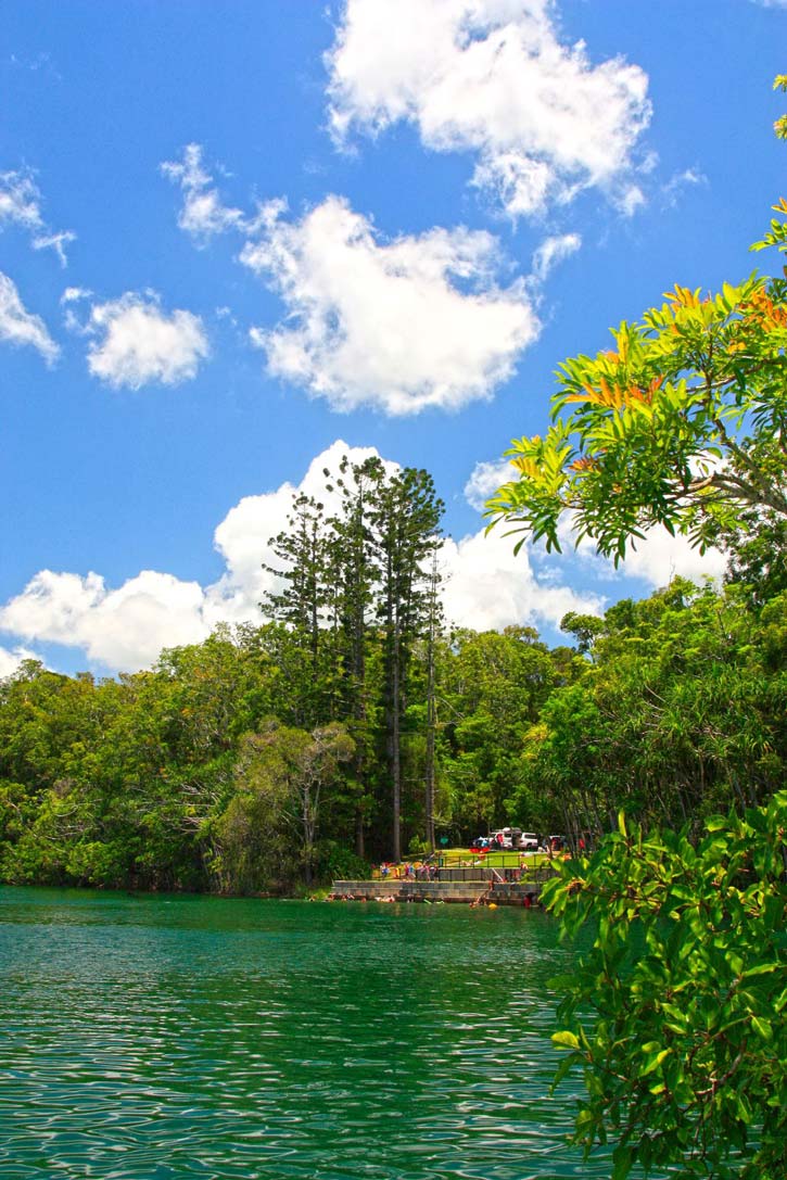A beautiful green lake surrounded by trees.