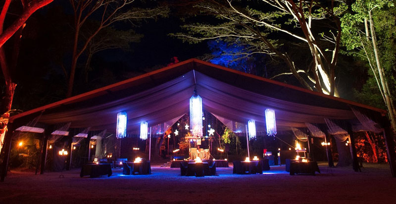 A beautifully lit open-air pavilion amongst the trees at Flames of the Forest.