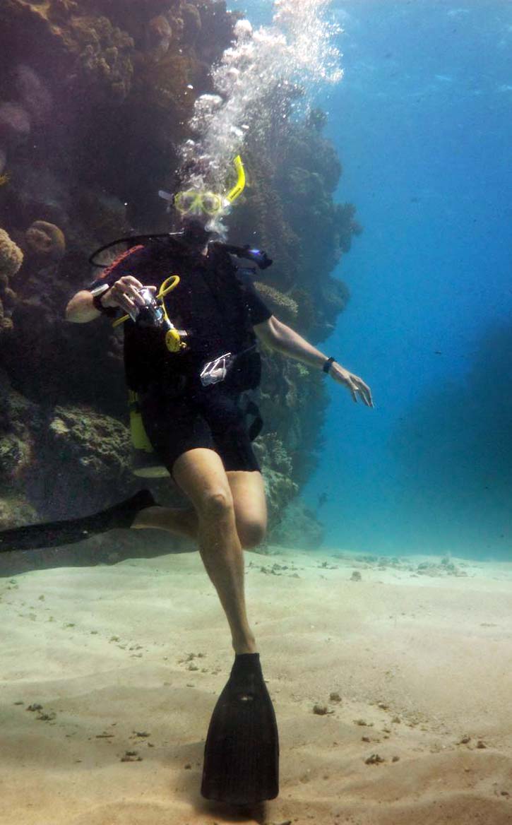 A diver touches the sandy bottom amidst coral in the Great Barrier Reef.