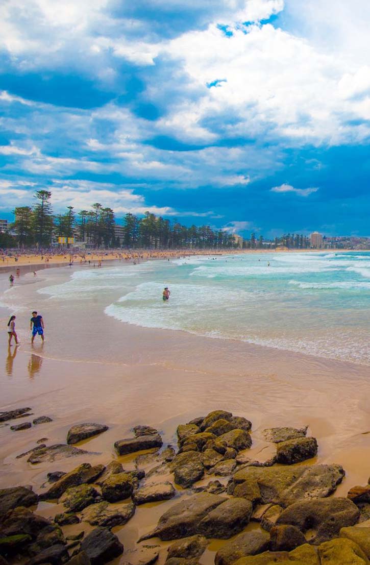 Pine trees line the shore of the wide flat beach at Manly, Queensland.