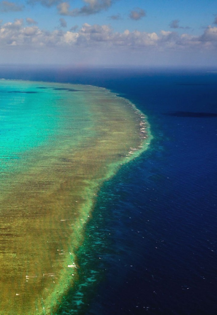 Aeriel view of Arlington Reef in Australia's Great Barrier Reef.
