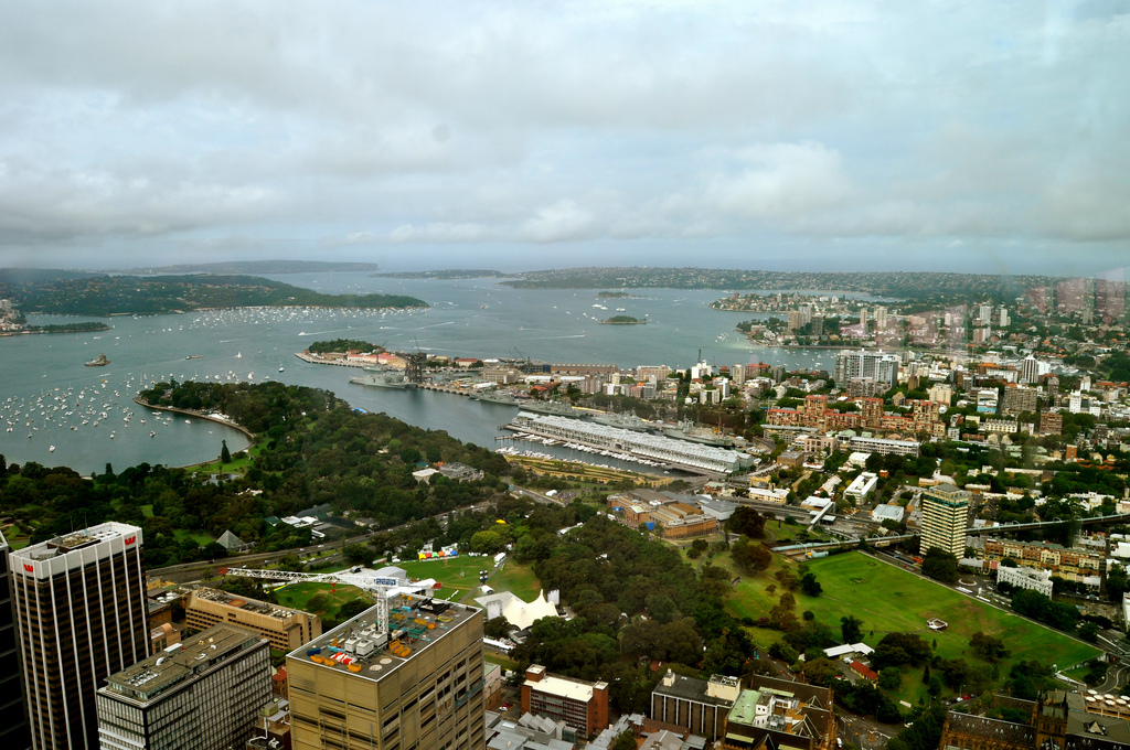 View of the harbor and surroundings from high atop the Sydney Tower.