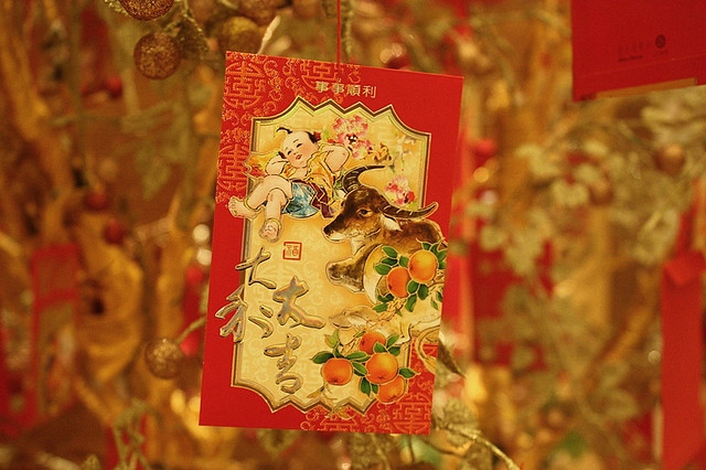 A red and gold hong bao envelope with traditional new years artwork of a bull and oranges.