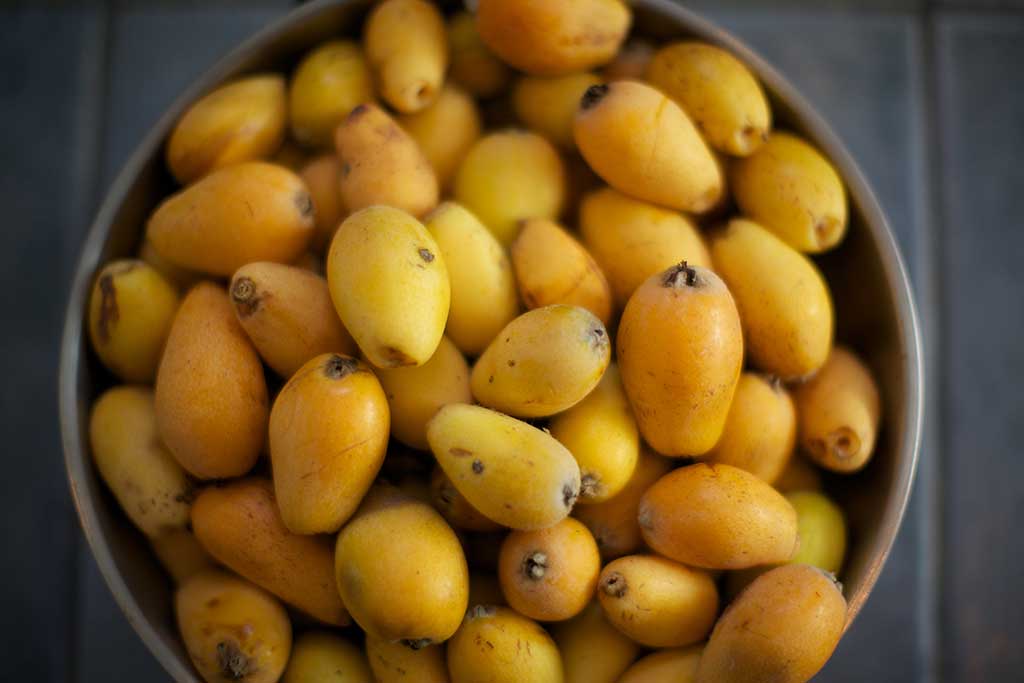 Loquats. Photo © Paul Shapiro.