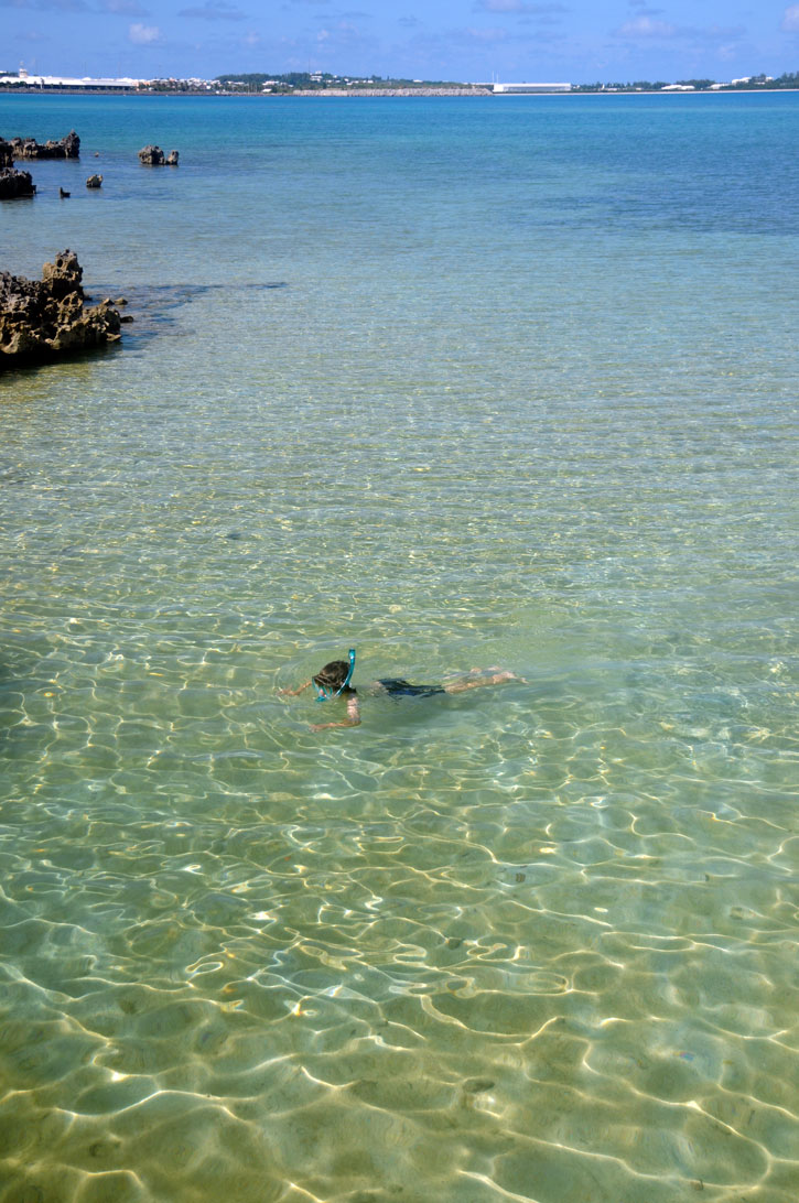 Snorkeling in clear shallow water in Bermuda's Blue Hole Park.