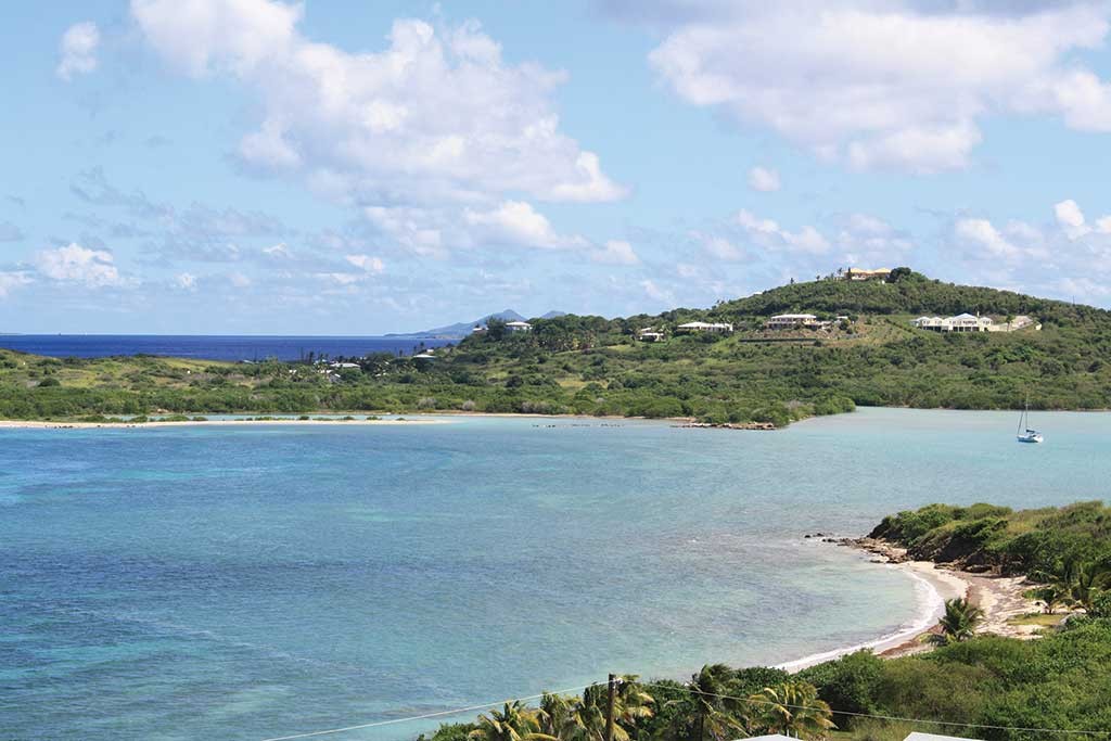 Salt River Bay, St. Croix, Virgin Islands. Photo © Susanna Henighan Potter.