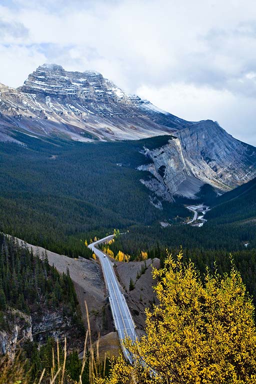 Icefields Parkway and Cirrus Mountain in the Canadian Rockies. Photo © Feng Yu/123rf.