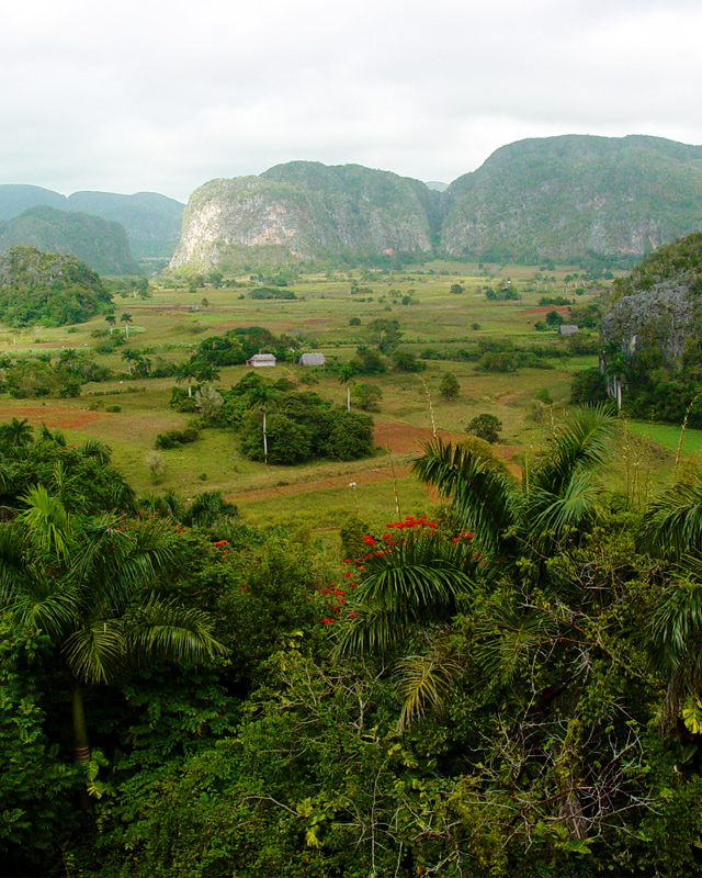 View of lush Viñales valley in Cuba.