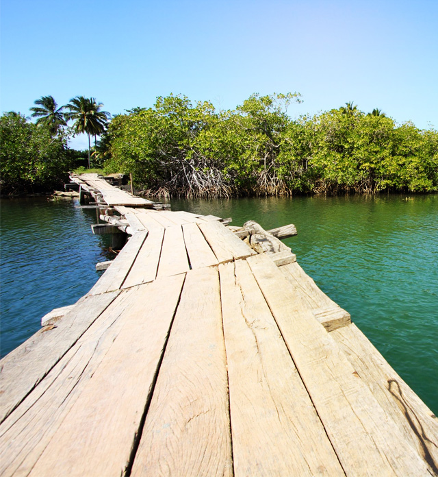 Rio Miel bridge, part of Alejandro de Humboldt National Park.