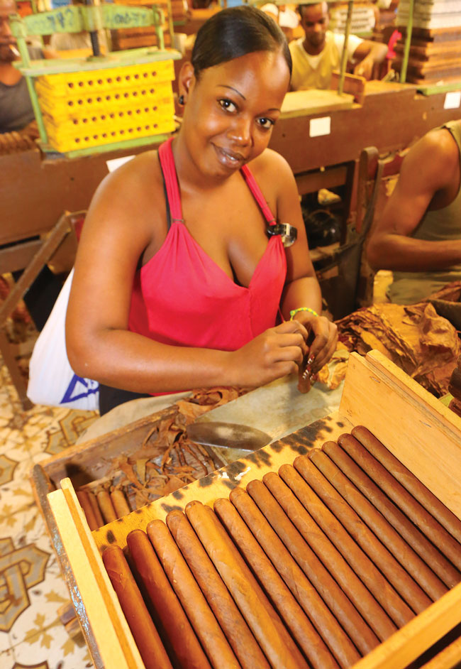 A young woman rolling cigars in a Havana factory.