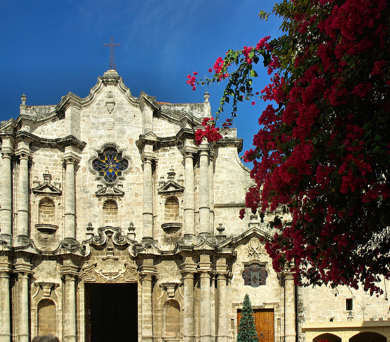 Bouganvillea hang down in the foreground with the cathedral's yellow stone bright in comparison to the dark blue sky.