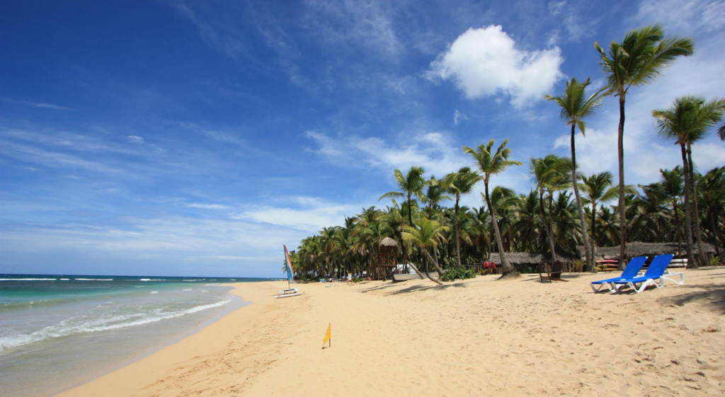 Palm trees scattered along a wide golden beach with softly lapping waves.