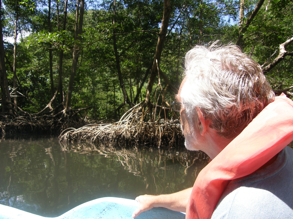 A man wearing a lifejacket rides down the river past the tangled roots of mangrove trees.