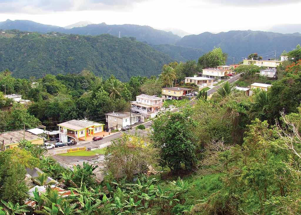 Cordillera Central. Photo © Suzanne Van Atten.