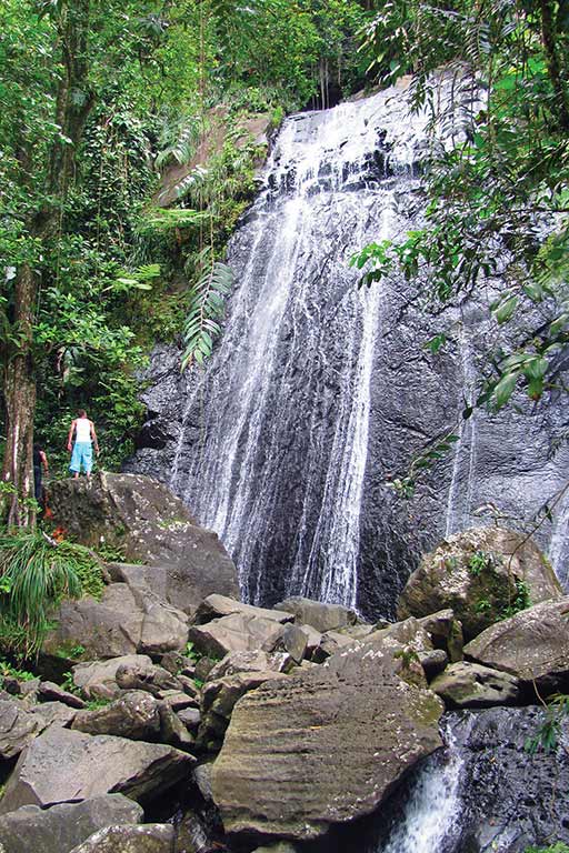 La Coca Falls at El Yunque. Photo © Suzanne Van Atten.