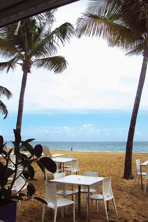 Ocean Park in Puerto Rico. Photo © Suzanne Van Atten.