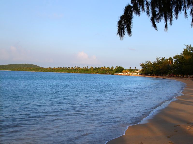 Afternoon sunlight on water lapping gently along the yellow sand of Seven Seas Beach.