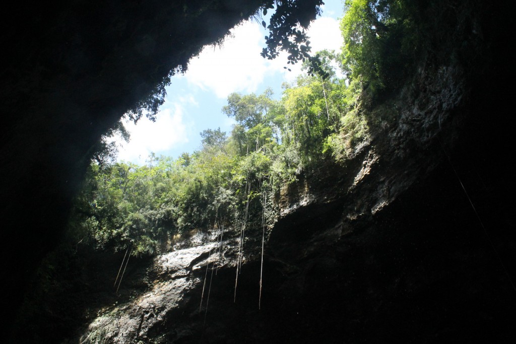 View from inside a limestone cavern with vegetation outside.