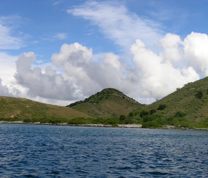 The Salt Island coastline, viewed from the water, with white, fluffy clouds in the background.